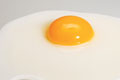   "Egg" 
: Fortune Promoseven Dubai 
: Sony 
: Sony 