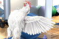   "Chicken" 
: TBWA HuntLascaris 
: Like it Lean 
: Like it Lean 