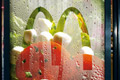   "Freshness Box Salad" 
: Heye & Partner GmbH 
: McDonald`s 
: McDonald`s 