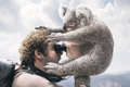   "Koala" 
: JWT Sydney 
: Olympus 
: Olympus 