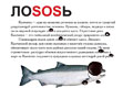   "SOS" 
:  
: WWF 
: -  