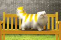   "Garfield" 
: Ice Cream Communications 
: Lucky Cat Club 
: Lucky Cat Club 