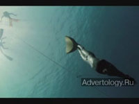  "Freediver", : BMW, : Ireland / Davenport