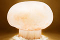  "Mushroom" 
: AW Nazca Saatchi & Saatchi 
: Elter Drugs 
: Elter Drugs 