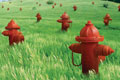   "Hydrants" 
: TBWA RAAD 
: Masterfoods 
: Pedigree 