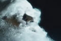 "Father Christmas" 
: Saatchi & Saatchi Benmore 
: The South African Post Office 
Loerie Awards, 2008
Bronze (for TV & Cinema Commercials)
