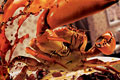   "Crab`s attack" 
: Saatchi & Saatchi Guangzhou 
: Procter & Gamble 
: Ariel 