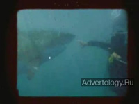 ����������� "Shark", �����: E-gaming, ���������: M&C Saatchi