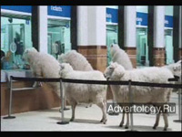 ����������� "The Sheep", �����: thetrainline.com, ���������: Delaney Lund Knox Warren