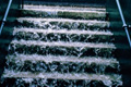   "Stairs" 
: Euro RSCG London 
: SAEME 
: Evian 