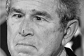   "Bush" 
: Contrapunto BBDO 
: Amnesty International 
: Amnesty International 