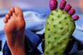   "Cactus" 
: Junction 11 
: Ipsen Gout 
: Ipsen Gout 