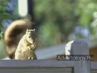  "Guard Squirrel", : Bud Light, : DDB North America