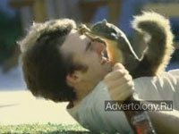  "Guard Squirrel", : Bud Light, : DDB North America