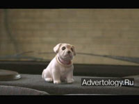  "Fake", : Andrex, : JWT London