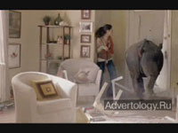  "Crazy Pets", : Pedigree, : TBWA/Chiat/Day Los Angeles