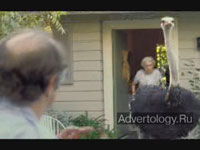  "Crazy Pets", : Pedigree, : TBWA/Chiat/Day Los Angeles