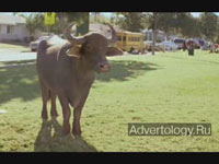  "Crazy Pets", : Pedigree, : TBWA/Chiat/Day Los Angeles