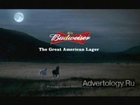  "Daisy", : Budweiser, : DDB Chicago