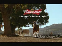  "Showoff", : Budweiser, : DDB Chicago