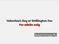  "Adults Only", : Wellington Zoo, : Saatchi & Saatchi Wellington