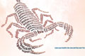   "Scorpion" 
: Hook Charleston 
: US Preventive Medicine 
: The Prevention Plan 