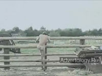  "Cow gives birth to a dude", : Ray-Ban, : Cutwater