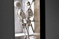   "Skeletons sex 4" 
: Tulipan 
: Tulipan 