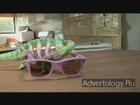  "Chameleon", : Ray-Ban, : Cutwater