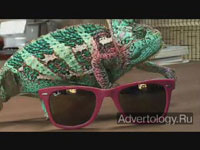  "Chameleon", : Ray-Ban, : Cutwater