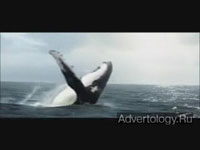  "Whale Song", : Optus, : M&C Saatchi