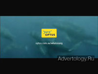  "Whale Song", : Optus, : M&C Saatchi