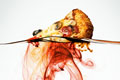   "Pizza" 
: Grey Chile 
: Bold 
: Bold 