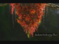  "Hummingbird", : Samsung, : Cheil Worldwide