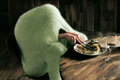   "Green" 
: TBWA Paris 
: Mir Wool 
CLIO Awards, 2009
Gold (for Household Products Campaign)