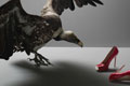   "Vulture 2 - Shoes" 
: DDB Europe 
: Harvey Nichols 
: Harvey Nichols 