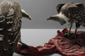   "Vulture 3 - Jacket" 
: DDB Europe 
: Harvey Nichols 
: Harvey Nichols 