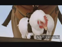  "Birds", : Washington State Lottery, : Publicis in the West