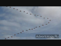 Телереклама "The V", бренд: Frigor, агентство: JWT Argentina SA