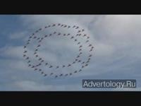 Телереклама "The V", бренд: Frigor, агентство: JWT Argentina SA
