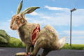 Печатная реклама "Rabbit" 
Агентство: Duval Guillaume 
Рекламодатель: Tardiz 
Бренд: Lazer bicycle helmets 