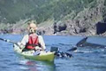  "Minke Whales" 
: DDB Canada 
: Canadian Tourism Commission 
: Canada Tourism Commission 