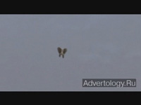 ����������� "Landing Jumbo", �����: IFAW, ���������: Springer & Jacoby Germany