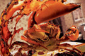   "Crab" 
: Saatchi & Saatchi Guangzhou 
: Procter & Gamble 
: Ariel 