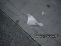  "Dove love", : Pure Blonde, : Clemenger BBDO