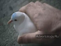  "Dove love", : Pure Blonde, : Clemenger BBDO