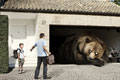   "Hibernating Bear" 
: Saatchi & Saatchi Copenhagen 
: Peugeot 
: Peugeot 