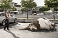   "Tired Dog" 
: Saatchi & Saatchi Copenhagen 
: Peugeot 
: Peugeot 