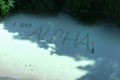  "Bear Grylls - I did Alpha" 
: The Alpha Course 
: The Alpha Course 