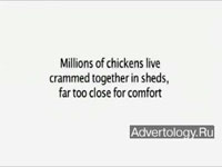  "Chicken", : RSPCA, : The Good Agency